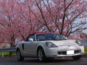 がったく MR-S
