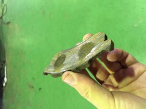 ブレーキパッド 残量